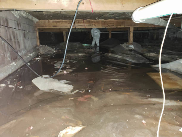 Water Damage Insurance Claim Assistance